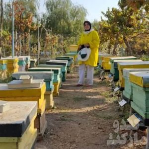 آموزش مدیریت پرورش زنبور عسل (حضوری و عملی در زنبورستان)